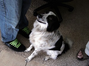 Beth Terry Cross Country trip Beth Terry Cross Country trip