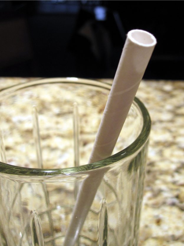 Aardvark paper drinking straw