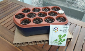 Spring Gardening with Orta Plastic-Free Self-Watering Seed Pots