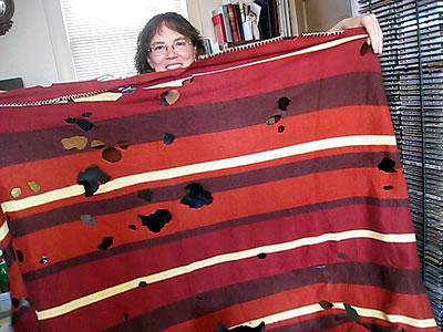 cat eats plastic cat eats plastic