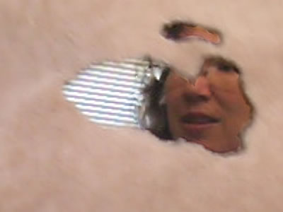 cat eats plastic cat eats plastic