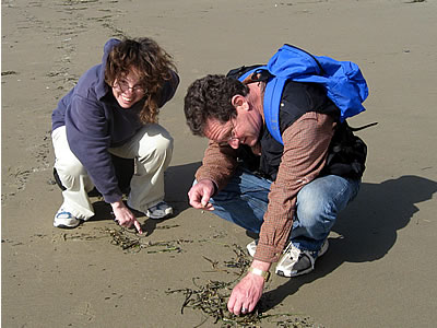 collecting plastic beach trash collecting plastic beach trash