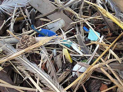 collecting plastic beach trash