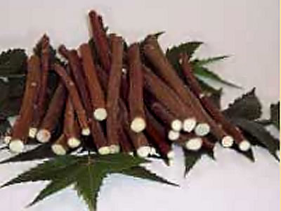 Neem chew sticks toothbrush Neem chew sticks toothbrush