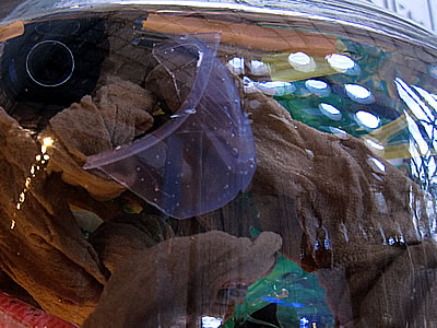 Plastic Century art exhibit Plastic Century art exhibit