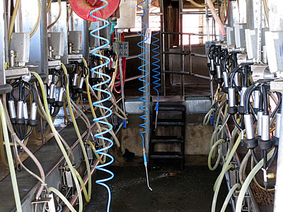 Straus organic dairy farm