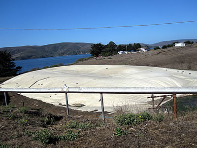 Straus organic dairy farm