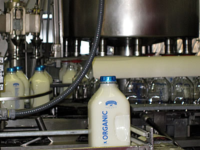 Straus organic dairy farm