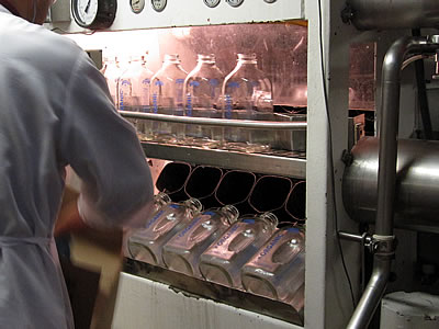 Straus organic dairy farm