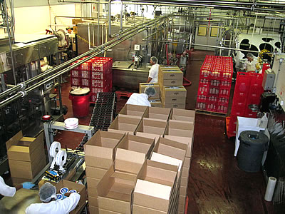 Straus organic dairy farm