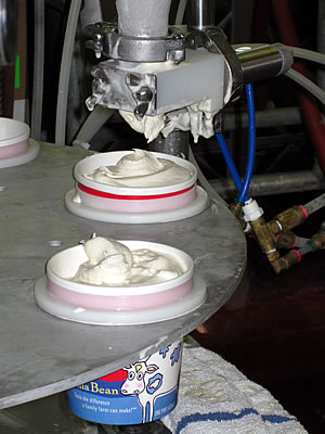 Straus organic dairy farm