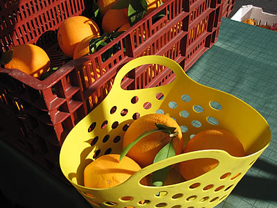 Temescal Farmers Market Temescal Farmers Market