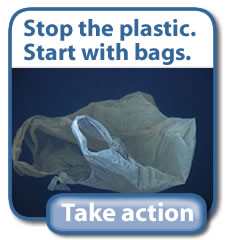 California plastic bag ban