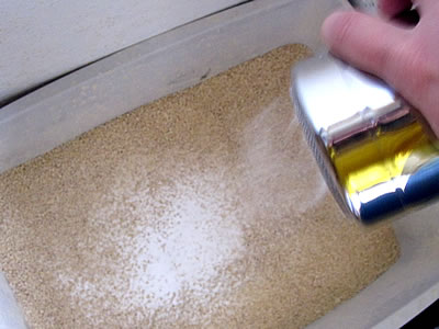 baking soda baking soda