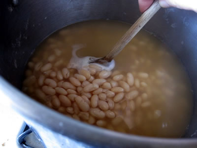 dried white beans dried white beans