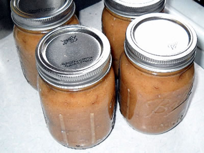 canned apple sauce canned apple sauce