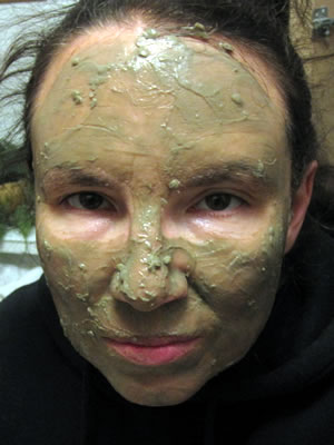 mint julep clay masque mint julep clay masque