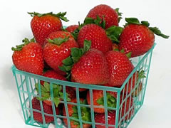 plastic strawberry basket