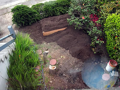 Beth's plastic-free garden project Beth's plastic-free garden project