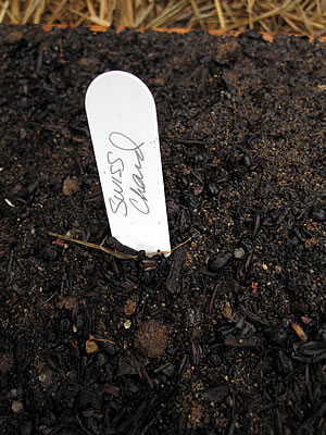 reuse plastic plant markers