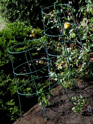 reuse plastic plant markers