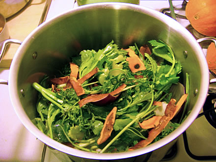 Homemade Broth Recipe from the Plastic-free Chef Homemade Broth Recipe from the Plastic-free Chef