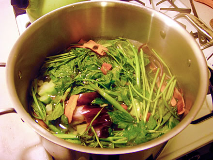 Homemade Broth Recipe from the Plastic-free Chef Homemade Broth Recipe from the Plastic-free Chef