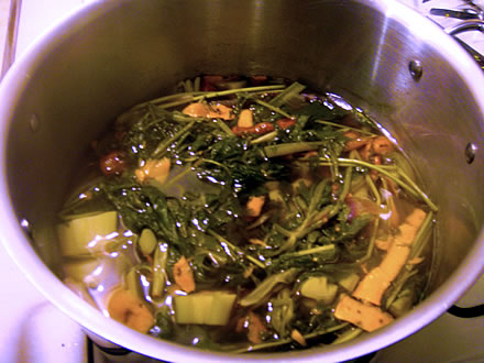Homemade Broth Recipe from the Plastic-free Chef Homemade Broth Recipe from the Plastic-free Chef