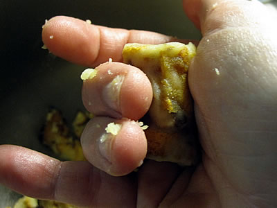 homemade tater tots ingredients homemade tater tots ingredients