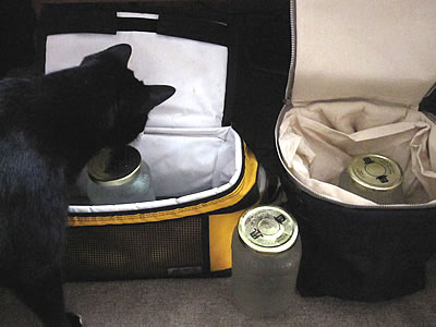 mason jars filled with water mason jars filled with water