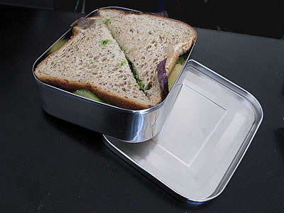 hair waxing products LunchBots Uno Stainless sandwich container