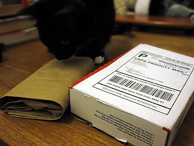 Neem chew stick toothbrushes Neem chew stick toothbrushes