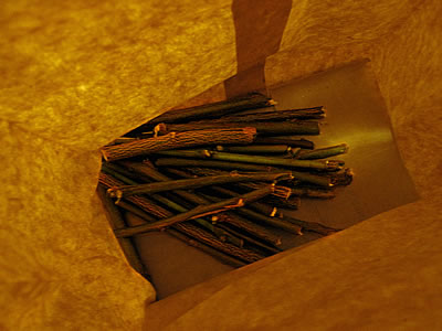 Neem chew stick toothbrushes Neem chew stick toothbrushes