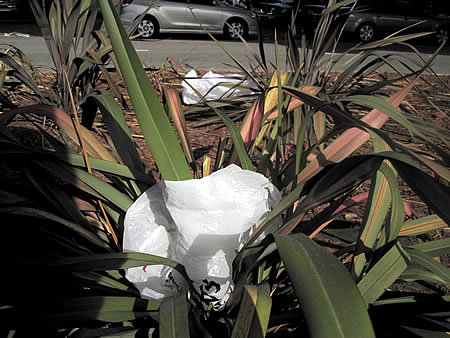 plastic bag litter on 8th Street in San Francisco plastic bag litter on 8th Street in San Francisco