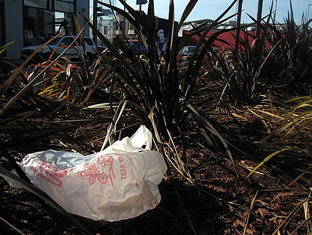 plastic bag litter on 8th Street in San Francisco plastic bag litter on 8th Street in San Francisco