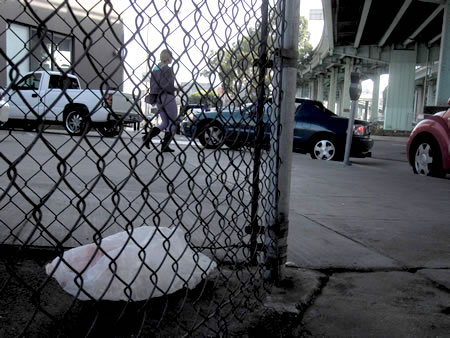 plastic bag litter on 8th Street in San Francisco plastic bag litter on 8th Street in San Francisco