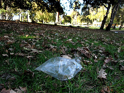plastic baggie litter at Lake Merritt plastic baggie litter at Lake Merritt