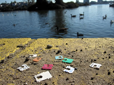 plastic baggie litter at Lake Merritt plastic baggie litter at Lake Merritt