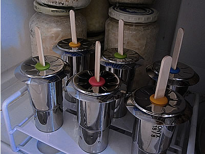 stainless steel popsicle molds stainless steel popsicle molds