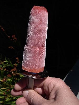 stainless steel popsicle molds stainless steel popsicle molds