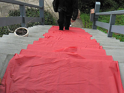 Beth and Michael's plastic red carpet