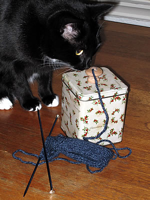 kitty likes yarn kitty likes yarn