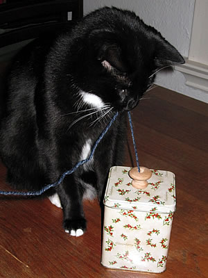 kitty likes yarn kitty likes yarn