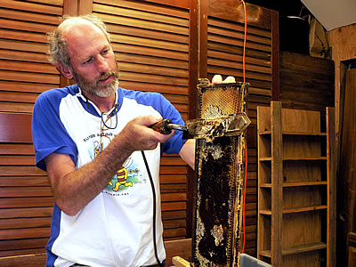 local honey local honey