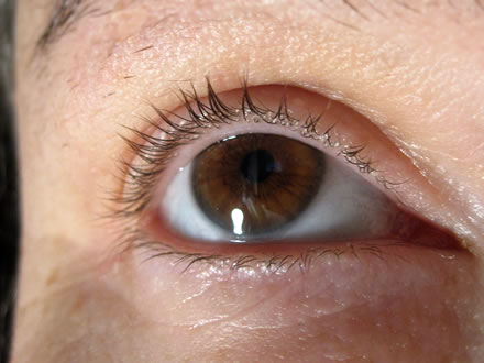 T.W.I.N.K. Beauty lash paint T.W.I.N.K. Beauty lash paint