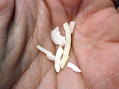 brush teeth with soap