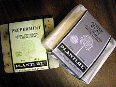 brush teeth with soap