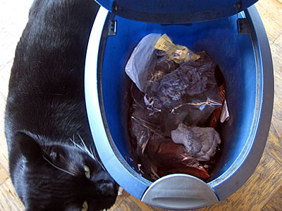 kitchen trash can kitchen trash can